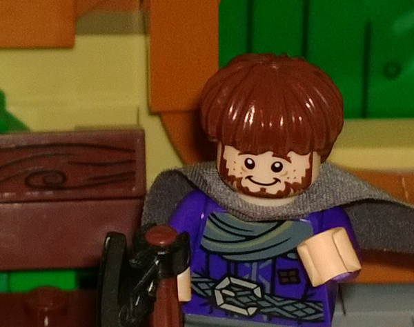 LEGO Hobbit close up