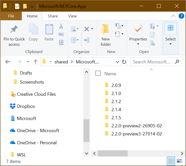 Side by side DotNet installs