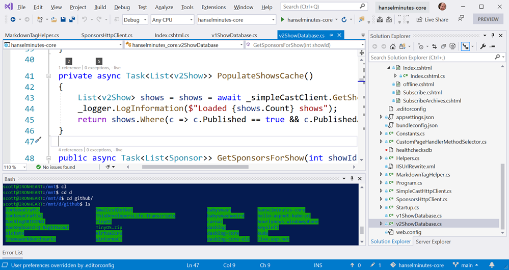 A terminal inside VS!