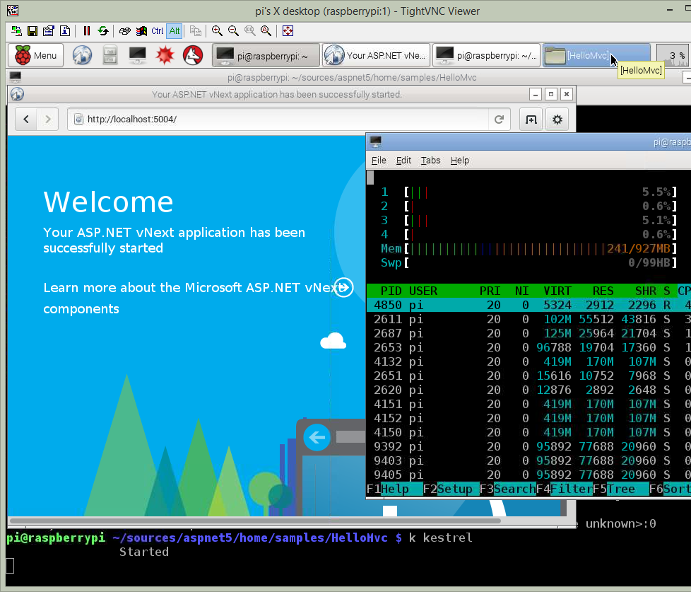 ASP.NET 5 Beta 3 on a Raspberry Pi 2