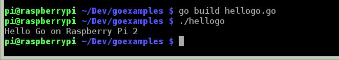 Go on a Raspberry Pi