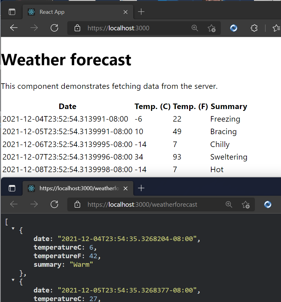 npm app running in VS 2022 against an ASP.NET Web API