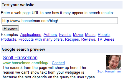 My site as seen by the Google Rich Snippets Testing Tool