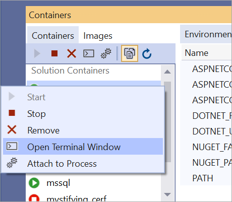 Terminal in a running Container