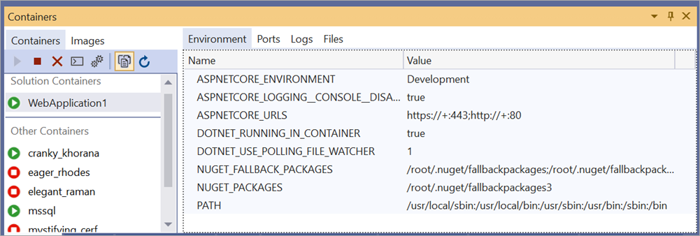 Docker Environment Variables