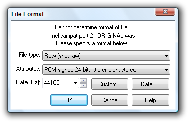 File Format